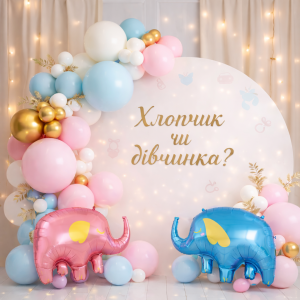 Набір 75 куль для арки фотозони Гендер паті Ніжне очікування Рожевий та блакитний