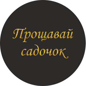 Міні банер артборд 50 см для фотозони Прощавай садочок каліграфія Чорний і золото