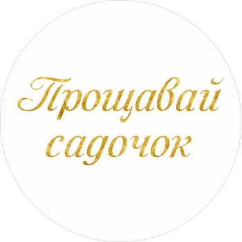 Міні банер артборд 50 см для фотозони Прощавай садок Білий та золото