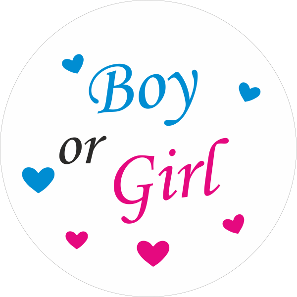 Міні банер артборд 50 см для фотозони Гендер паті Boy or girl серця Білий