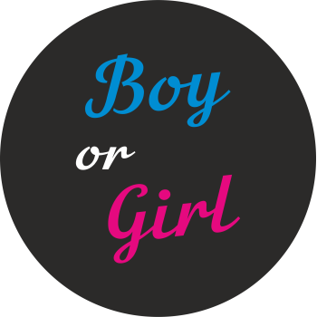 Міні банер артборд 50 см для фотозони Гендер паті Boy or girl Чорний