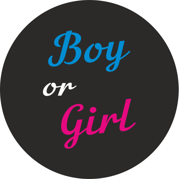 Мини баннер артборд 50 см для фотозоны Гендер пати Boy or girl Черный