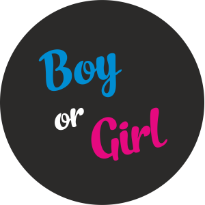 Міні банер артборд 50 см для фотозони Гендер паті Boy or girl жирний шрифт Чорний