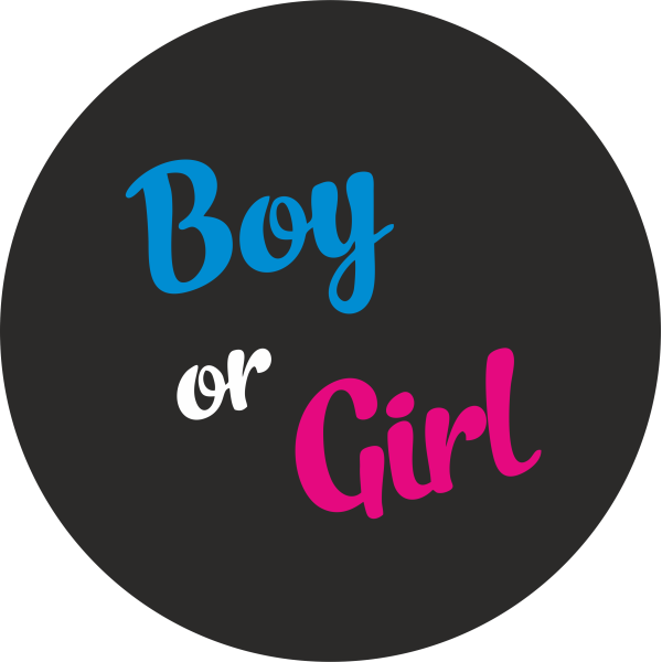 Міні банер артборд 50 см для фотозони Гендер паті Boy or girl жирний шрифт Чорний