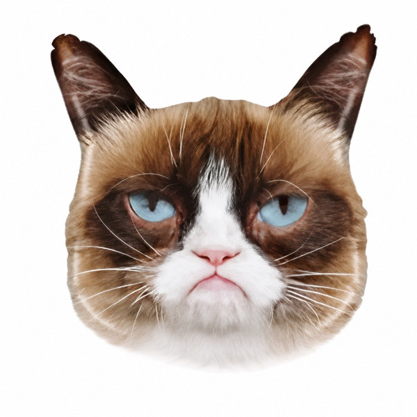 Куля фольгована фігурна 58х65 см Кіт Grumpy Cat Коричневий